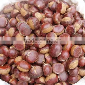 2016 China Hebei Fresh Sweet Chestnuts thumbnail-2