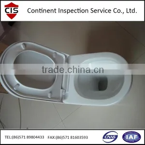 Sanitaryware Inspection thumbnail-1