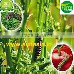 NEEM KERNEL CAKE IN COMPETITIVE PRICE thumbnail-1
