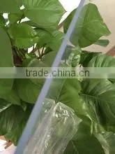 PVC Crystal Panel Board Rigid PVC Sheet for Printing, 3mm Thickness, 4x8 Size thumbnail-6