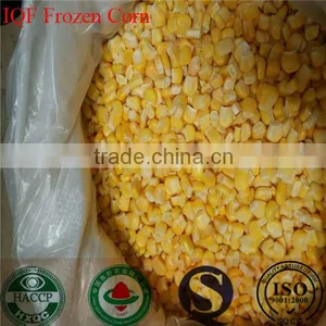 Best Price Frozen Vegetables Iqf Sweet Corn (FDA,HACCP,HALAL,BRC) thumbnail-1