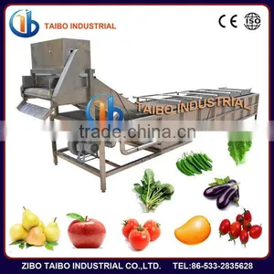 Food Machinery Manufacturer Washer Type Fruits and Vegetables Washing Equipment thumbnail-2