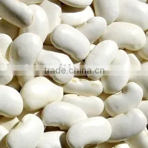 Large White Kidney Bean/big White Kidney Bean thumbnail-1