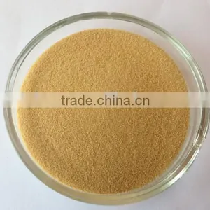 High Quality Corn Protein Peptide for Food Additive thumbnail-1