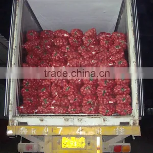 China New Crop Fresh Onion thumbnail-5