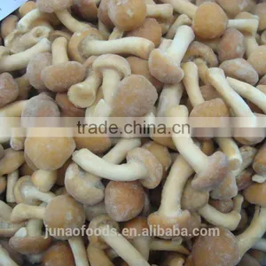 Grade A Chinese Nameko Mushroom Spawn for Sale thumbnail-6