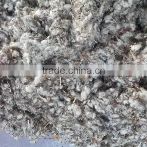 Cotton Gin Motes thumbnail-1