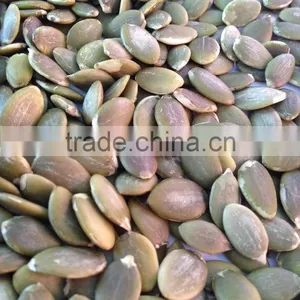 Wholesale Pumpkin Seeds Kernel Shine Skin AA thumbnail-5