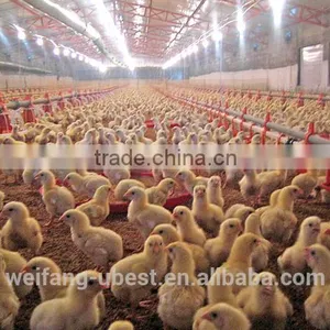 Chicken Breeding Machine / Breeder Farm Equipment thumbnail-4