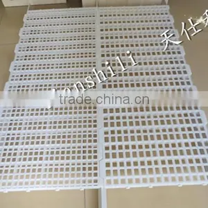Plastic Poultry Slat Floor for Chicken/duck/goose Frams thumbnail-4