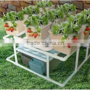 Drip Irrigation Hydroponics System Dutch Bucket for Strawberry thumbnail-1