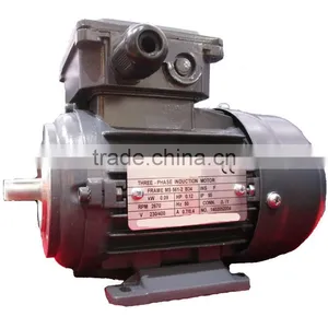 IE1 Standard Three Phase Asynchronius Motors Aluminum Housing MS561 2 thumbnail-1