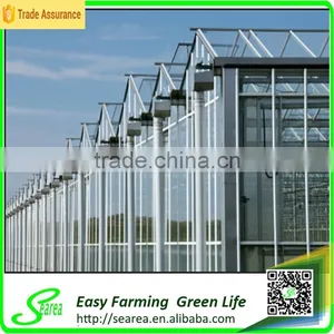 Serea Hot Sale Agriculture Glass Covering Greenhouse Shade /green-house thumbnail-3