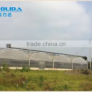 Balckout Greenhouse 0.08mm or 0.15mm PE Film Greenhouse Polythene Greenhouse thumbnail-3