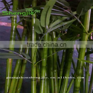 SJLJ013165 High Quality Artificial Plants and Trees/artificial Bamboo Wood Stem thumbnail-5