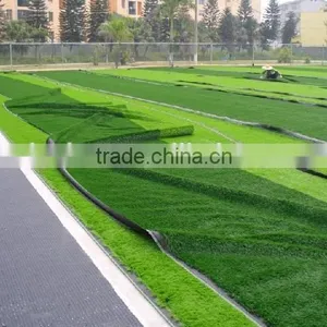 FIFA Factory Price pe Material Fake Turf Artificial Grass Lawn thumbnail-2