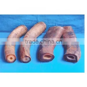 Buffalo Horn Solid Tips thumbnail-5