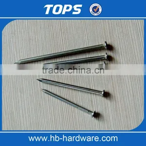 Common Nail thumbnail-2