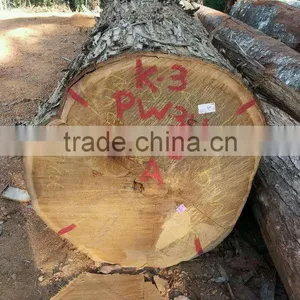 Suriname MKG / Makagrin Log thumbnail-1