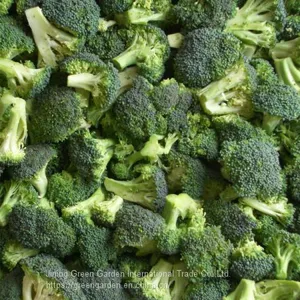 Frozen Broccoli thumbnail-1
