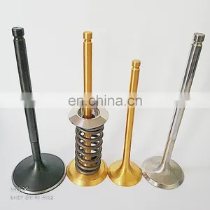 1nzfe 1fz Global Titanium Gold Coating Engine Valve Market OEM Parts for Nissan TB42 TB45 TB48 Y60 Y61 Y62 Tb48 TB48DE thumbnail-4