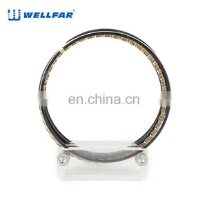 2M5615 Wellfar GM 350CID 5.7L Engine Piston Rings For GM BLAZER, C SERIES, CAPRICE, CENTURY, CHEVELLE, CUSTOM, CUTLASS Car thumbnail-4