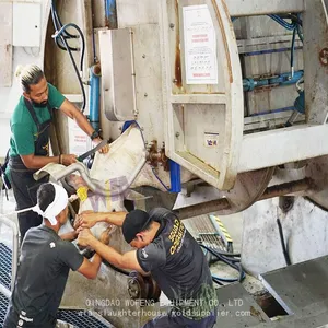 Full Set Automatic Cattle Slaughter Line For Ritual Rotary Slaughtering Box For Cow Slaughtering Equipment thumbnail-1