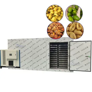 Commercial Heat Pump Olive Drying Machine Rosa Roxburghii Dehydrator thumbnail-1
