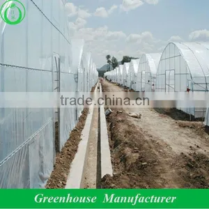 Cheap Plastic Tunnel Greenhouse thumbnail-1