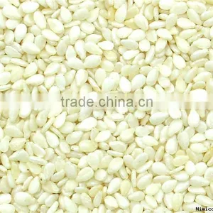 Hulled WaterMelon Seeds thumbnail-1