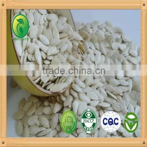 Shine Skin Pumpkin Seeds Organic Certified for EU/ USDA thumbnail-1