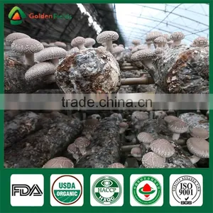 Artificial Cultivation Mushroom,Bulk Dried Shiitake Mushrooms,Medical Mushroom thumbnail-1