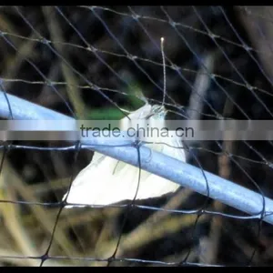 PE +Anti-bird Netting From China Manuafcture thumbnail-1