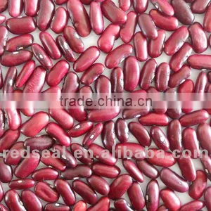 New Crop Dark Red Kidney Beans thumbnail-1