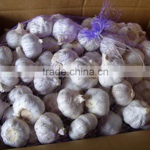 2016 Crop New Collected China Fresh Garlic thumbnail-1