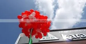 Kara Marketing (m) Sdn. Bhd. company overview - view 1 thumbnail