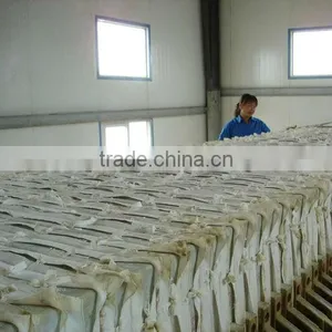 Titanium Dioxide Rutile R299 ( for Plastic) thumbnail-2