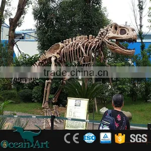 OAV3127 Dinosaur Skeleton Replicas for Exhibition thumbnail-5