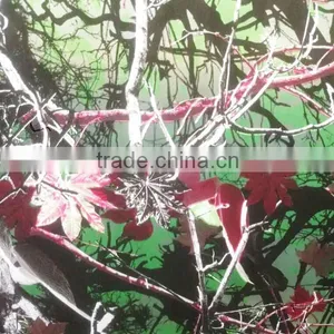 2016 Newest Water Transfer Film Camo Pattern No.RH019 Mossy Oak Water Transfer Printing Hydrographics Film thumbnail-3