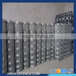 Cattle Horse Fence Manufacture of Galvanized Horse Fence thumbnail-2