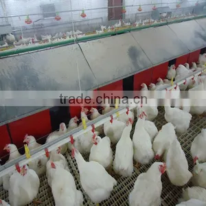 Breeder Feeding Pan System thumbnail-1