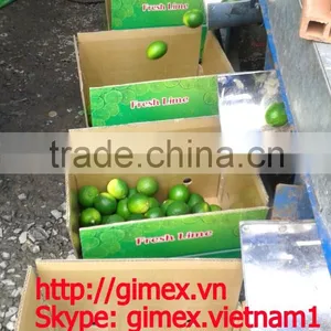 Fresh Lemon High Quality Seedless Gimex thumbnail-1