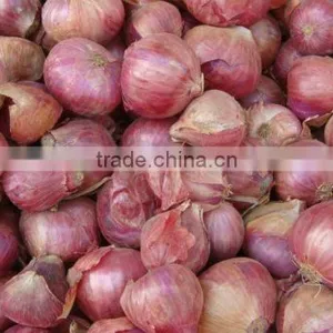 Red Onion Pakistan thumbnail-1