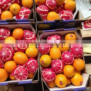 LEMONS / VALENCIA / MODERN & FRESH STYLE thumbnail-6