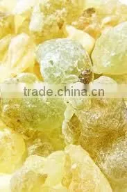Choya Loban thumbnail-1