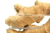 Ginger Powder Steam Sterilized thumbnail-3