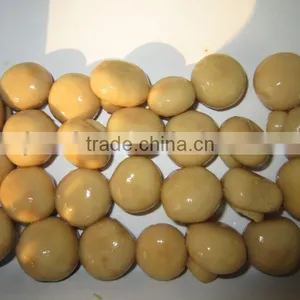 Canned Mushroom Whole thumbnail-5