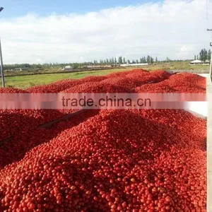 Bulk Tomato Paste in Drum Chinese Crop thumbnail-2