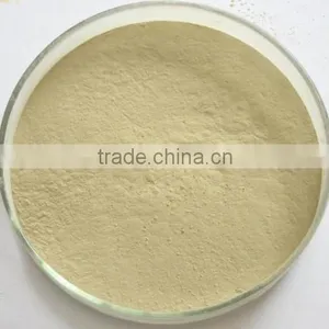 Low Price Hesperidin 90%-98% thumbnail-4