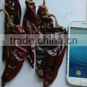 10 -15cm Sweet Dried Red Chili Paprika thumbnail-1